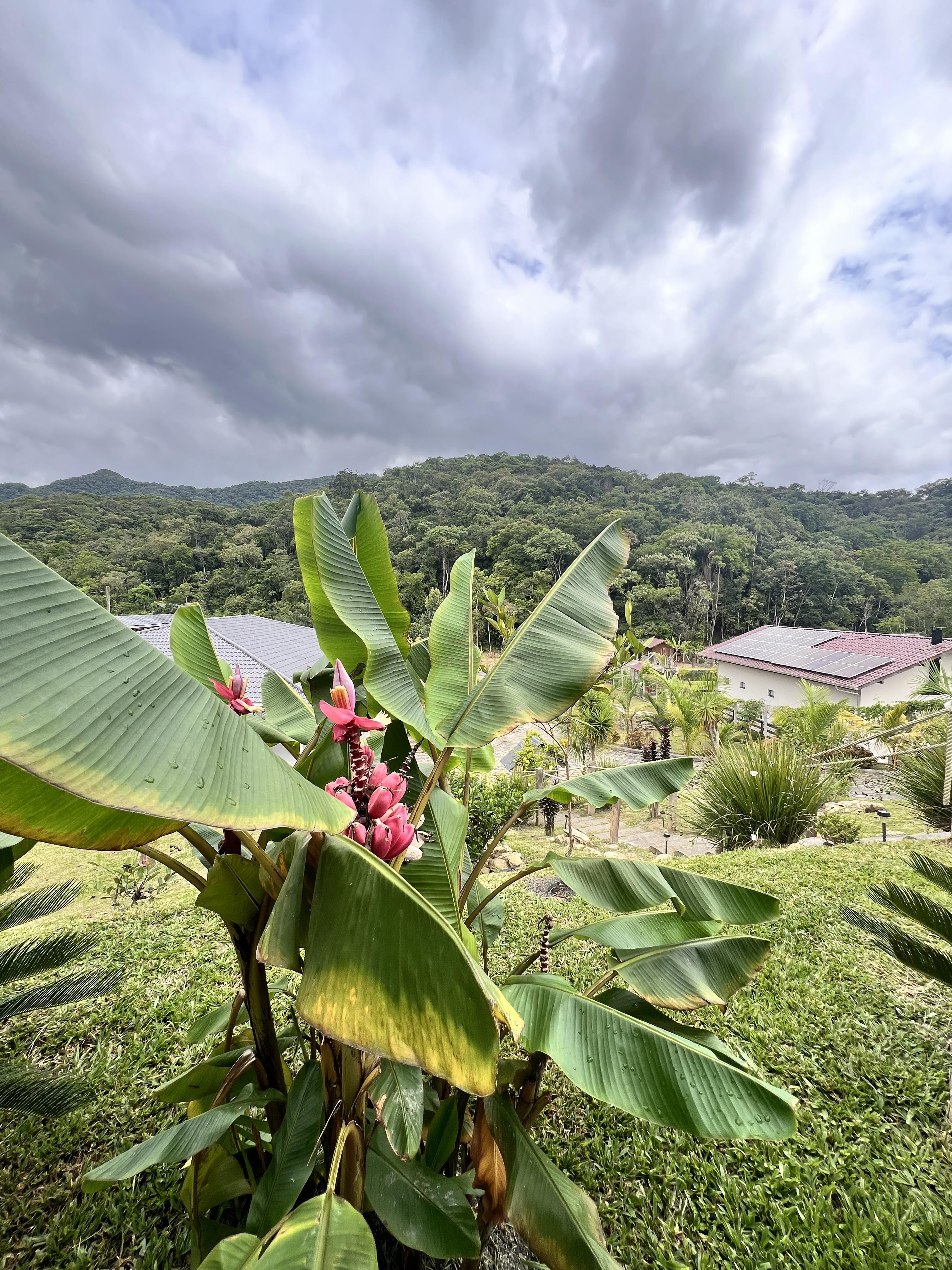 Paraíso a Venda com 2 Casas Novas, Riacho e Lagoa