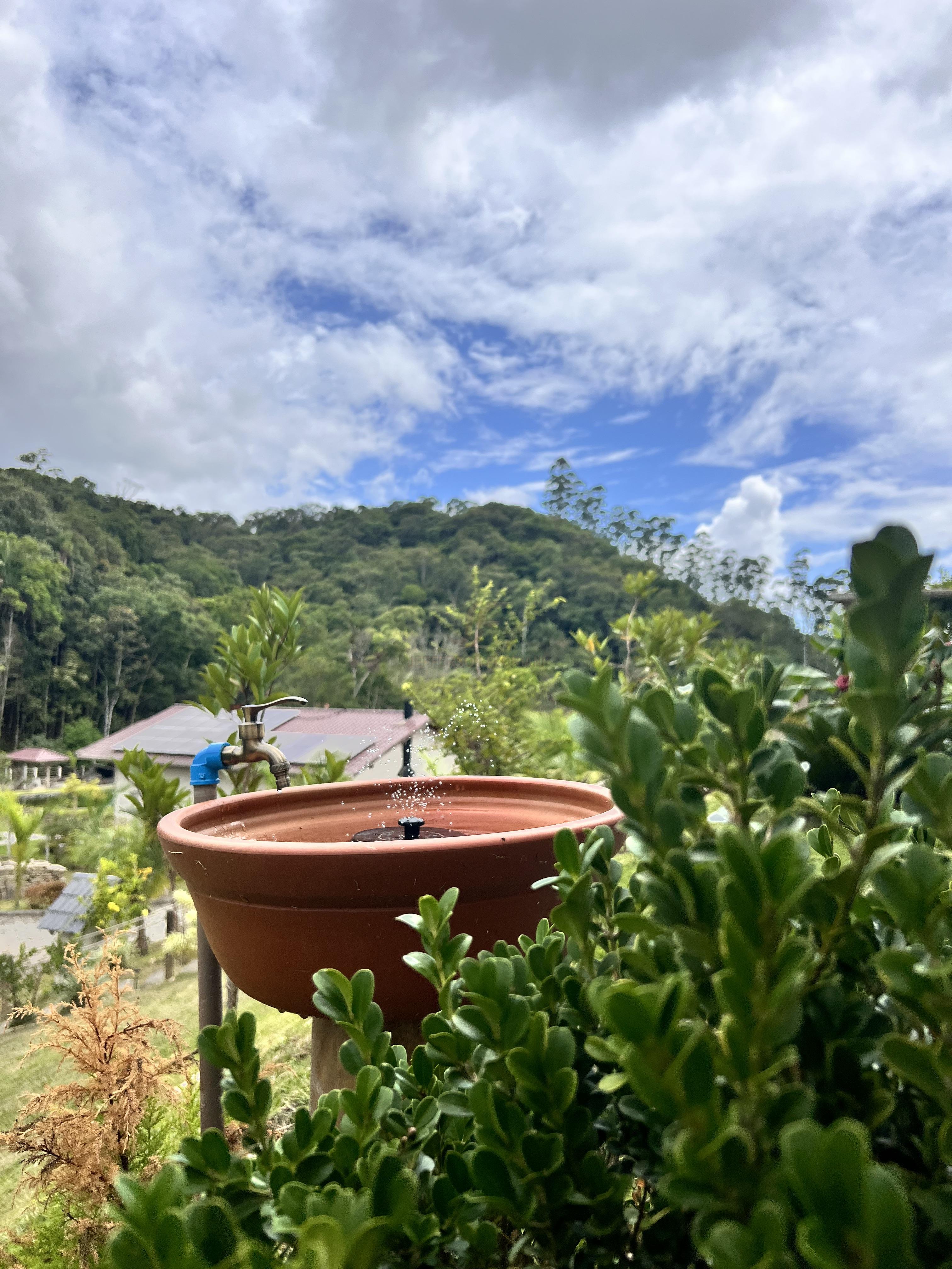 Paraíso a Venda com 2 Casas Novas, Riacho e Lagoa